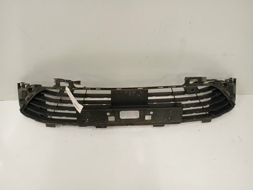Grille de pare choc