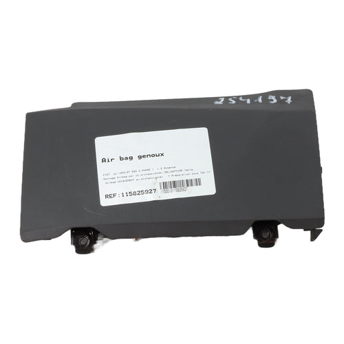 Air bag genoux
