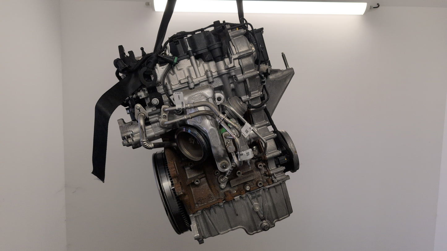Moteur - FORD FOCUS 4 PHASE 2 2024.0