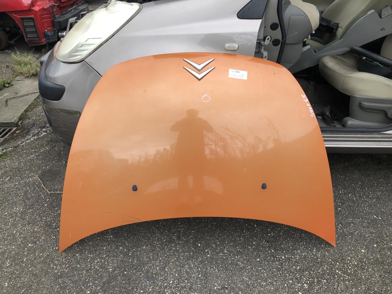 Capot - CITROEN C3 PLURIEL PHASE 1 CABRIOLET (2003)