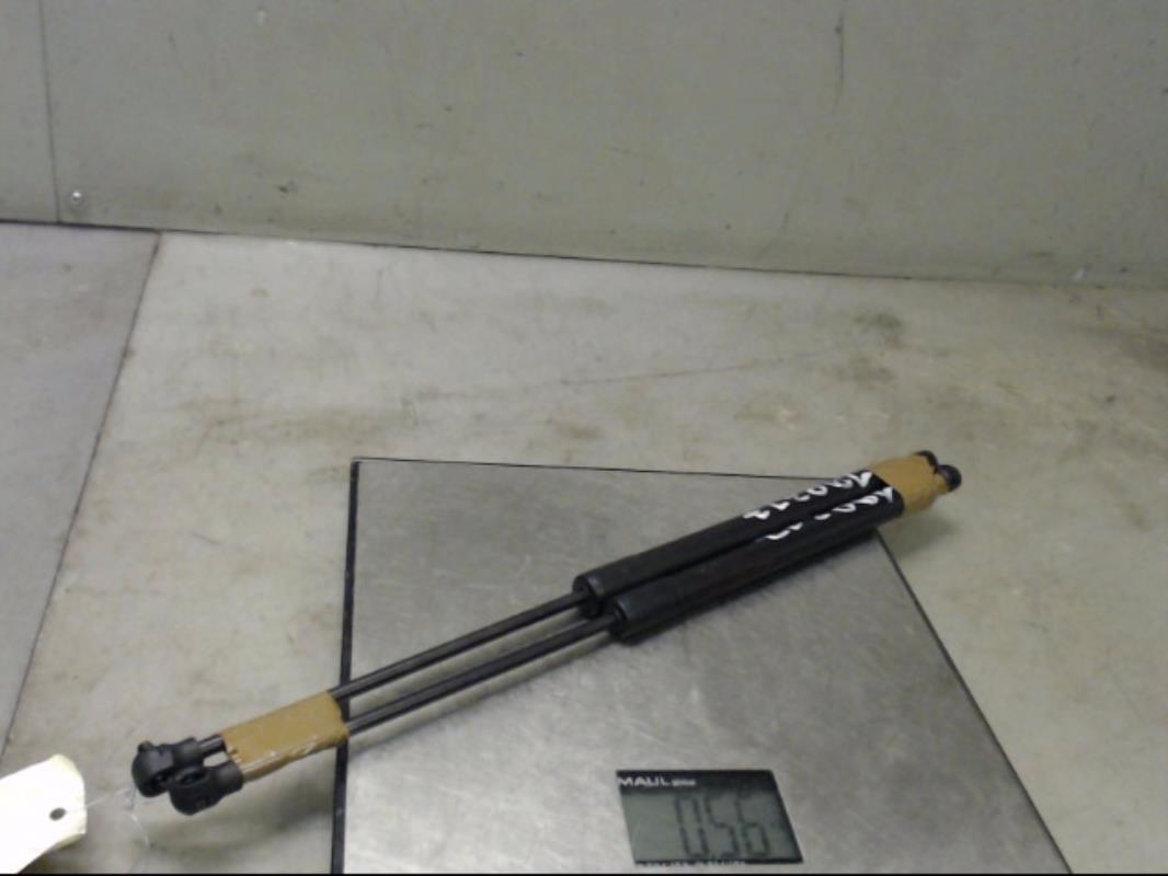 Verin de coffre