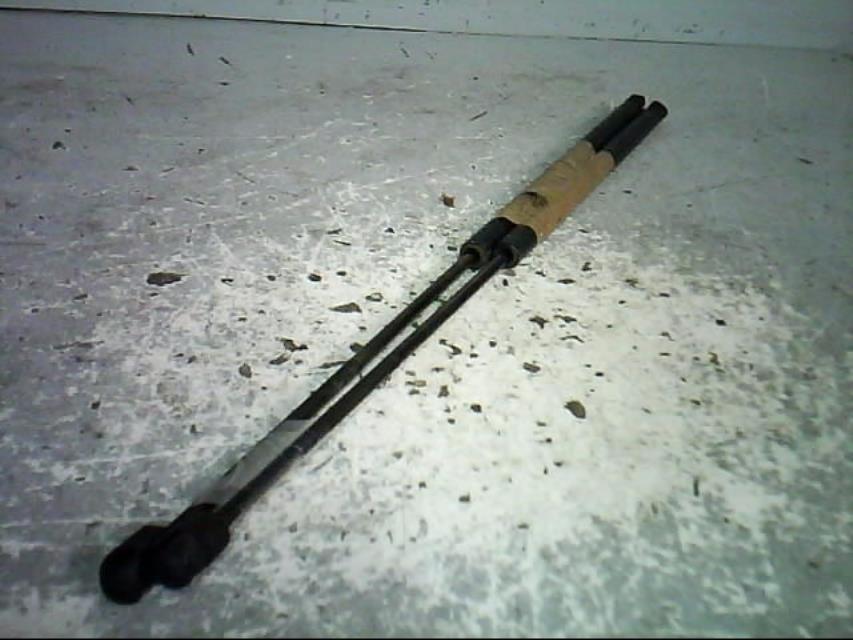 Verin de coffre